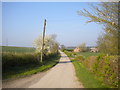 Lane south west of Bilsthorpe (1)