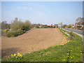 Ploughed field next to Brampton Road, Thurcroft