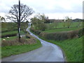 Winding lane towards King