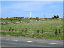 J3534 : Wind turbine above the A50 (Newcastle Road) by Eric Jones