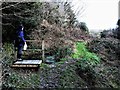 Pond and footpath, Broomgrove Wildlife Site, Hastings