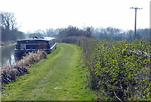 SP6594 : Grand Union Canal near Wistow Grange by Mat Fascione