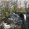 Afon Ysgethin flowing down to Tal-y-bont