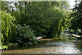 Canal approaching Trentham in Stoke-on-Trent