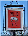 Sign for the Wild Pig public house, Shrewsbury