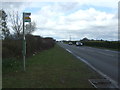 SO5036 : Bus stop on the A49 by JThomas