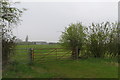 Bridleway towards New Barns farm