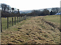 The trackbed of the former Bishop Auckland to Wearhead branch line