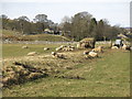 The trackbed of the former Bishop Auckland to Wearhead branch line (4)