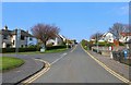 Durham Wynd, Lower Largo