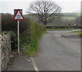 Warning sign - cattle grid, Glan Tarrell, Libanus, Powys