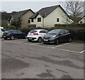 Cowshed Lane houses, Bassaleg