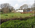 Thatched cottage and garden, West Bagborough