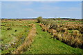 Drumlester Townland