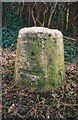 Old Milestone by the A44, Woodstock Road, Yarnton