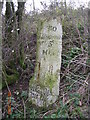 Old Milestone by the B4192, north of Whittonditch