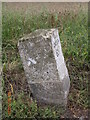 Old Milestone by the A253, Gore Street, Monkton