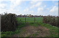 Field entrance off National Cycle Route 1