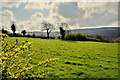 Ardbarren Upper Townland