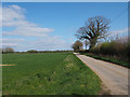 Looking East down country lane