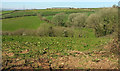 Farmland near Farleigh