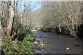 River Ebbw below Brynhywfryd Terrace