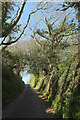 Lane near Harleston