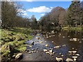 The River Wear, Stanhope