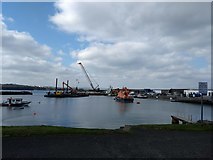 C8540 : Busy harbour Portrush by Willie Duffin