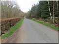 Minor road near to Whaupers Knowe and Laughtblacknest Plantations