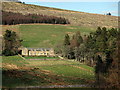 Cottages at Catcleugh