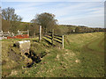 Low embankment on the former Bishop Auckland to Wearhead branch line