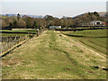 Low embankment on the former Bishop Auckland to Wearhead branch line