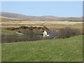 View to Widewath Farm