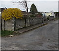 Wall and houses, Glan Tarrell, Libanus, Powys