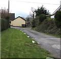 Rock-lined part of Glan Tarrell, Libanus, Powys