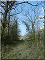 Short access track to a field near Rughouse