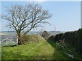 Footpath along old track to Shepherd