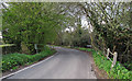 TQ6098 : Small Bridge on Pettits Lane near Emblems Farm, Doddinghurst by Roger Jones