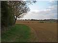 Path on Field Boundary, near Hay Green Farm, Blackmore