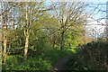 Path on Barn Hill, Kingsbury