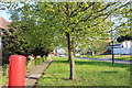 Green verge by Salmon Street, Kingsbury