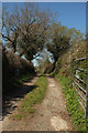 Farm track, Blakewell