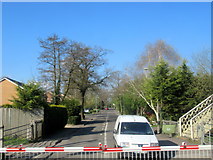 SP1675 : Mill Lane Level Crossing Bentley Heath by Roy Hughes