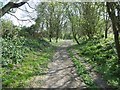 Angmering, byway