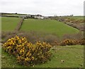 View towards Cloggs Farm