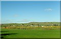 View across the Kilcoo Plain towards Tullynasoo Mountain