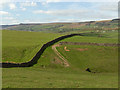 Looking across Stoneacre Gill