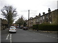 Beech Street, Paddock