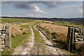 Bridleway on the Old Kex Gill Road